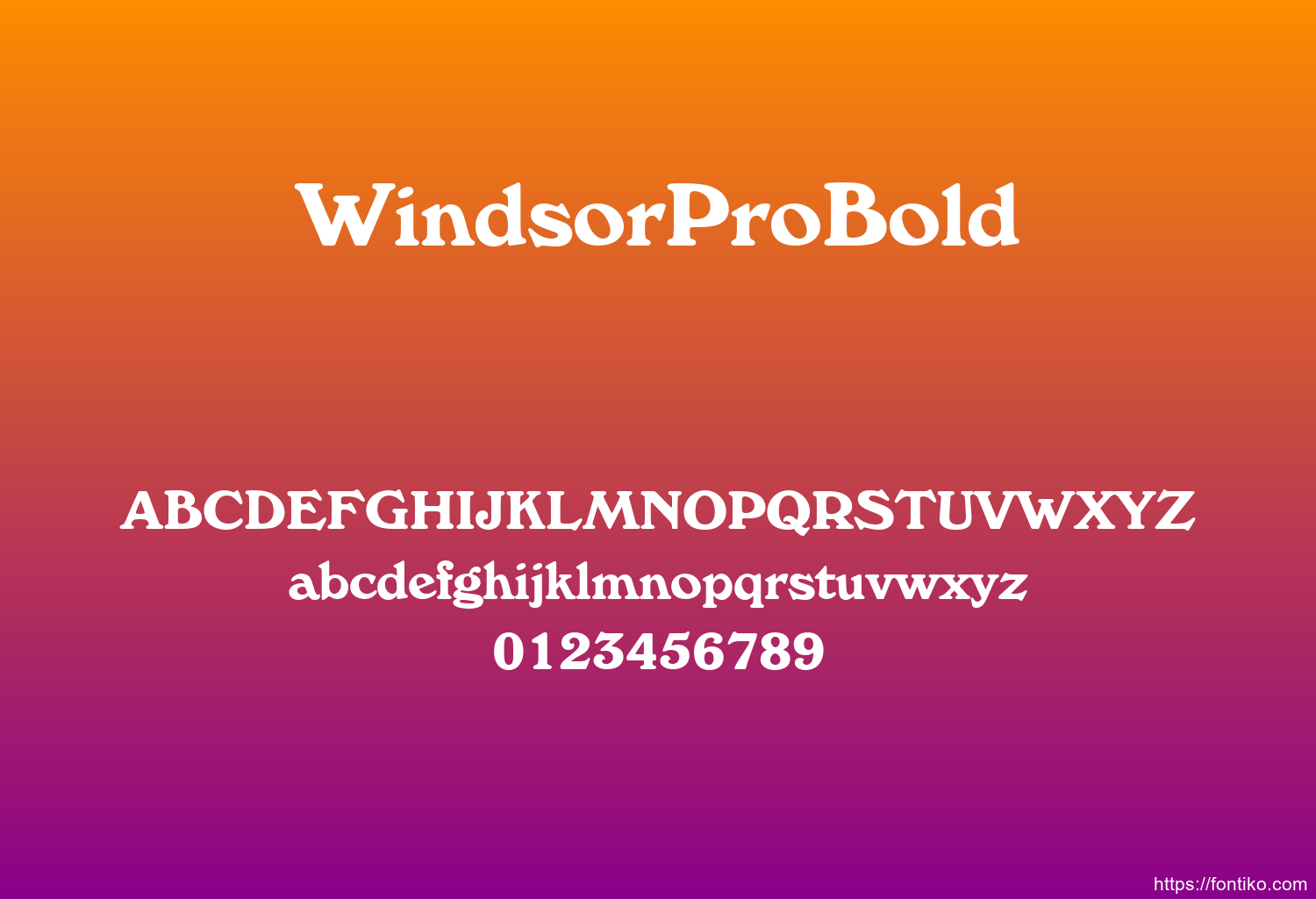 WindsorProBold font